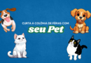 🐾🐾 Alerta Pet! Colônia de Férias Fetrhotel em Peruíbe agora é “Pet-Friendly”! 🐾🐾